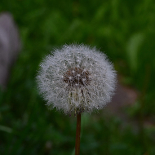 Photo #13852572
