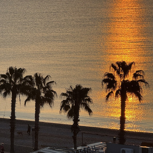 Photo #13852628