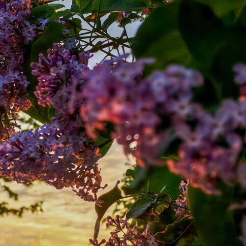 Photo #13852679