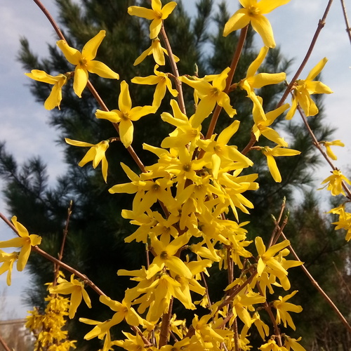 Photo #13852714