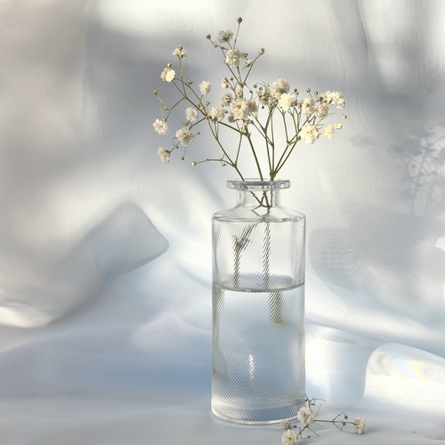 Photo #13852870