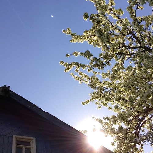 Photo #13852898