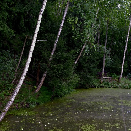 Photo #13852903