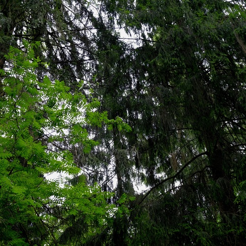 Photo #13852909