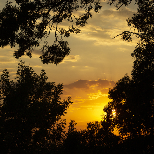 Photo #13852987