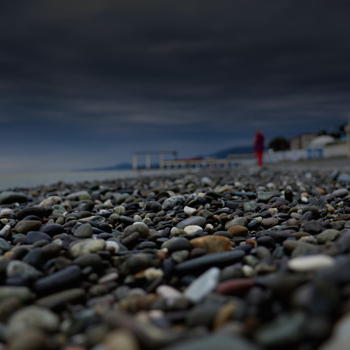 Photo #13852993