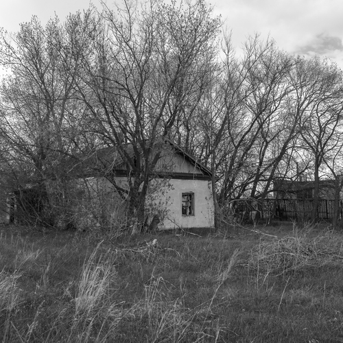 Photo #13853011