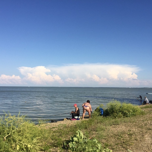 Photo #13853045