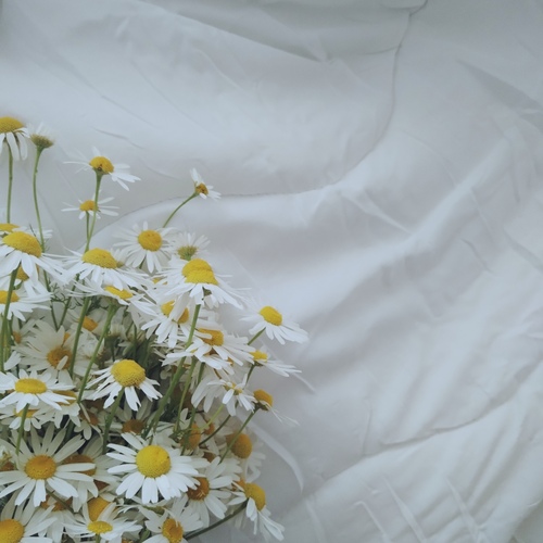 Photo #13853064