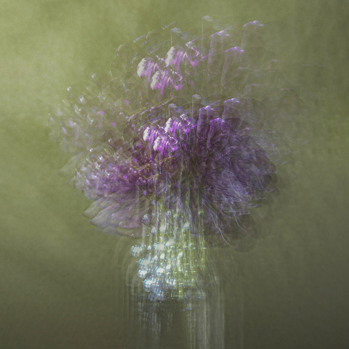 Photo #13853067