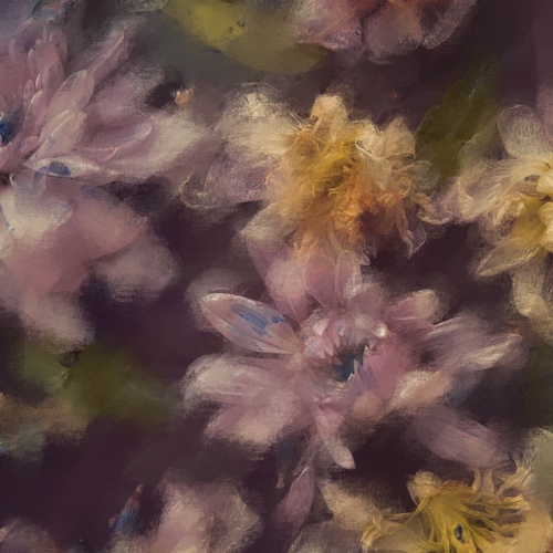 Photo #13853068