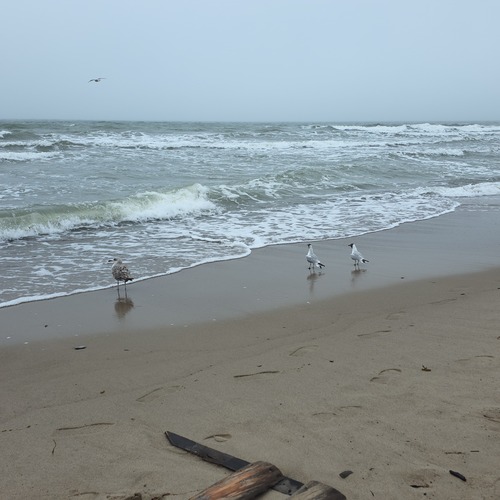 Photo #13853136