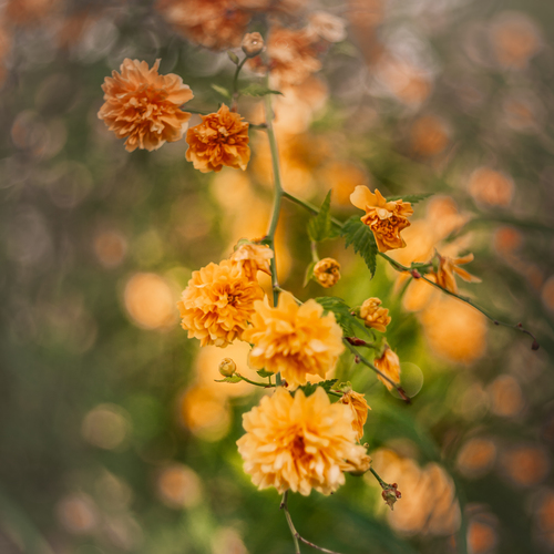 Photo #13853163