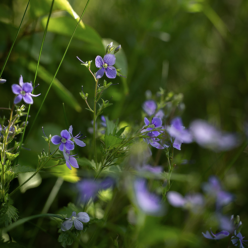 Photo #13853192