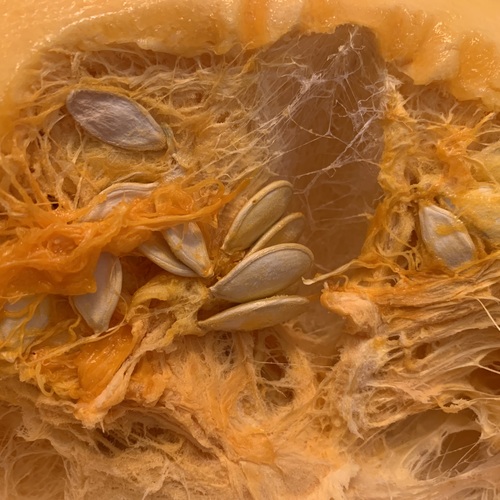 Photo #13853207