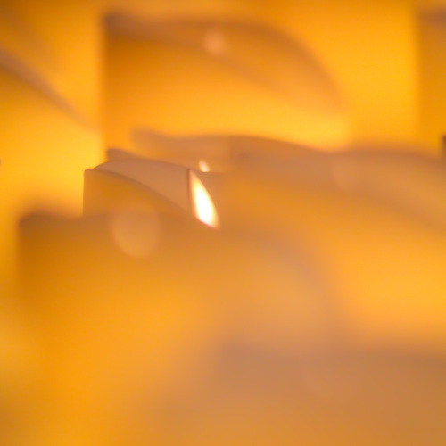 Photo #13853299