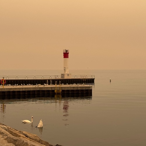Wild Fires on the North 2