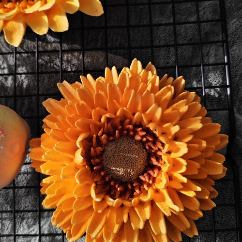 Photo #13853308