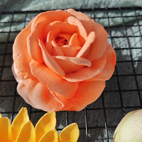 Photo #13853309