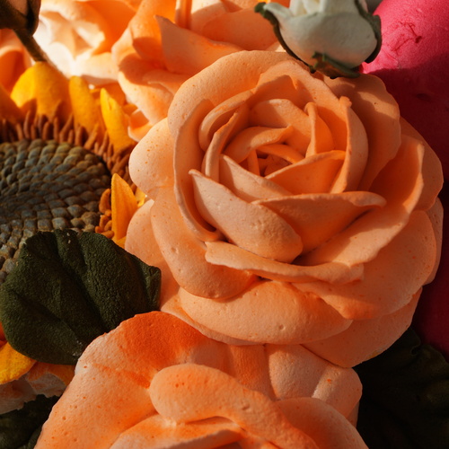 Photo #13853360