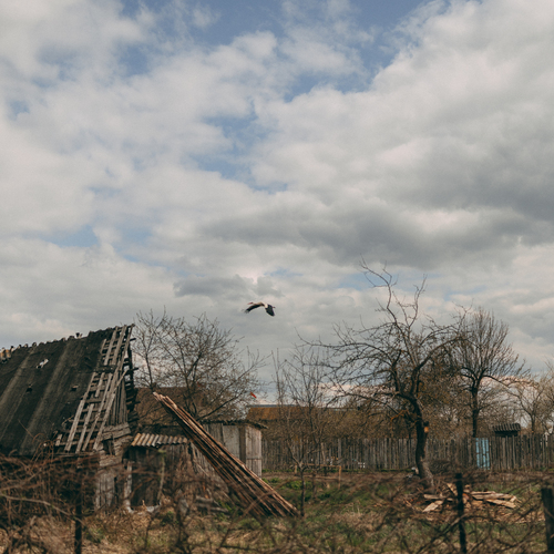 Photo #13853423