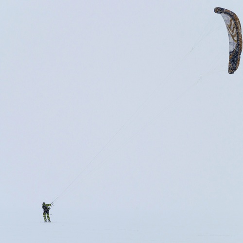 Photo #13853428