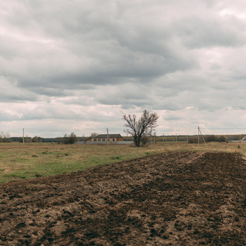 Photo #13853445