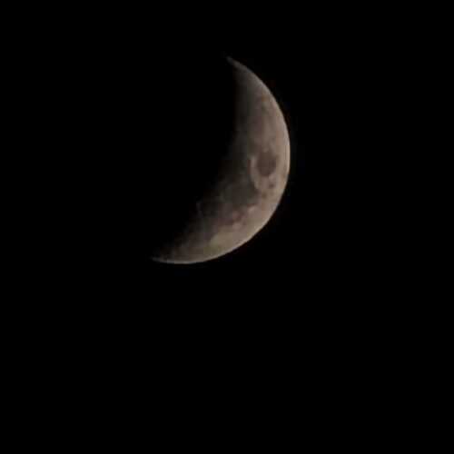 Photo #13853462