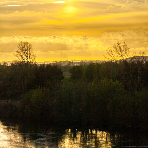 Photo #13853477