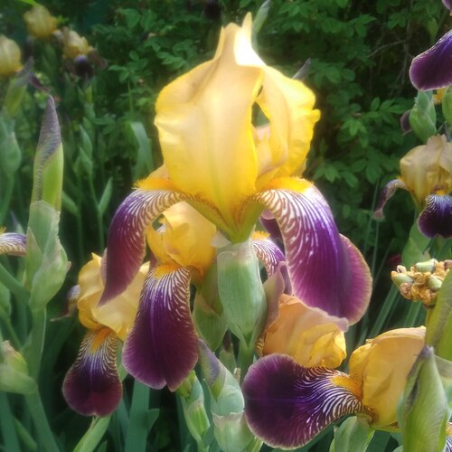 Photo #13853508