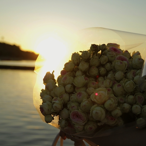 Photo #13853531