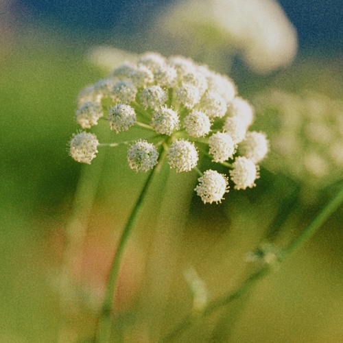 Photo #13853537