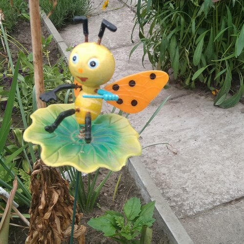 Photo #13853543