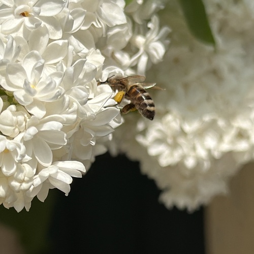 Photo #13853589