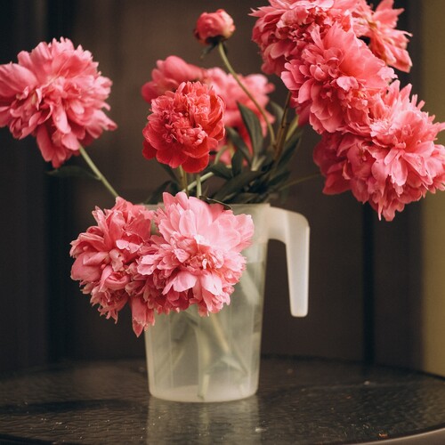 Photo #13853603