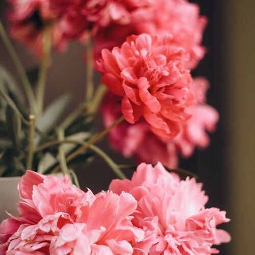 Photo #13853605