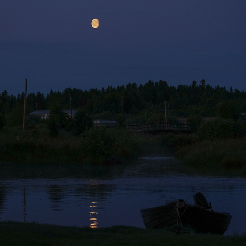 Photo #13853660