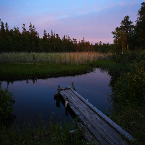 Photo #13853661