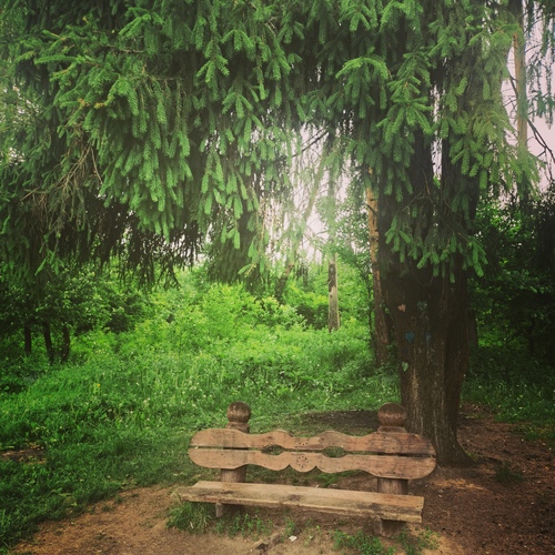 Photo #13853690