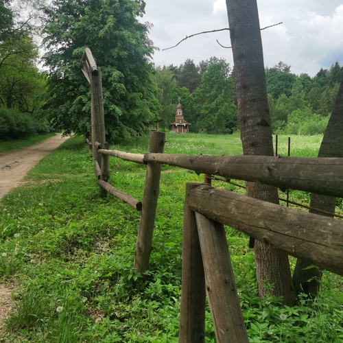 Photo #13853691