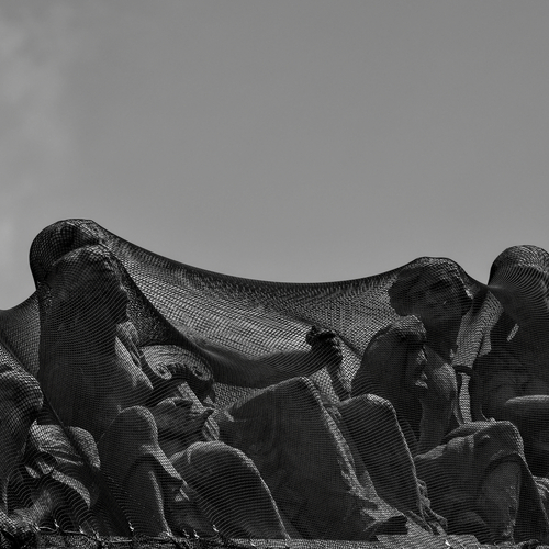 Photo #13853733