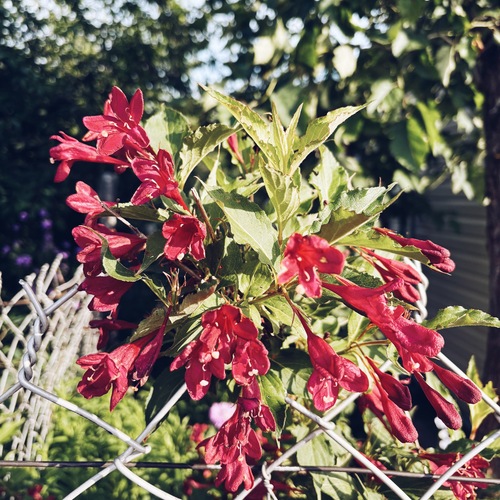 Photo #13853738
