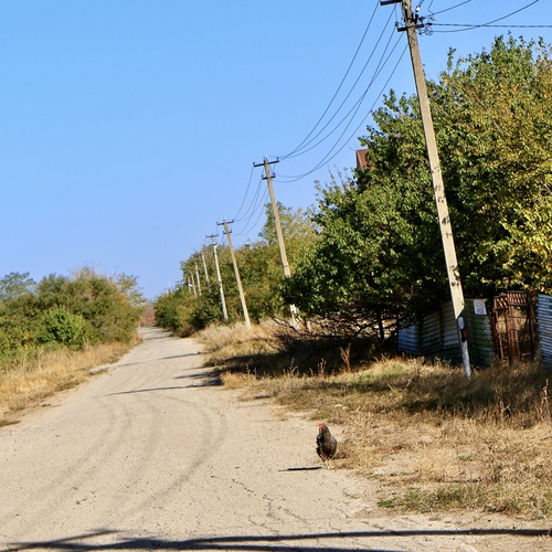 Photo #13853757