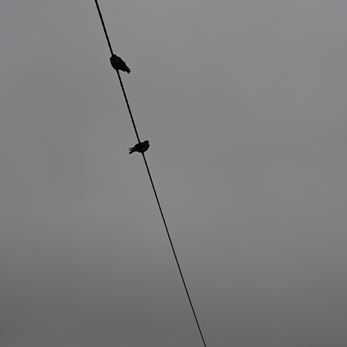 Photo #13853794