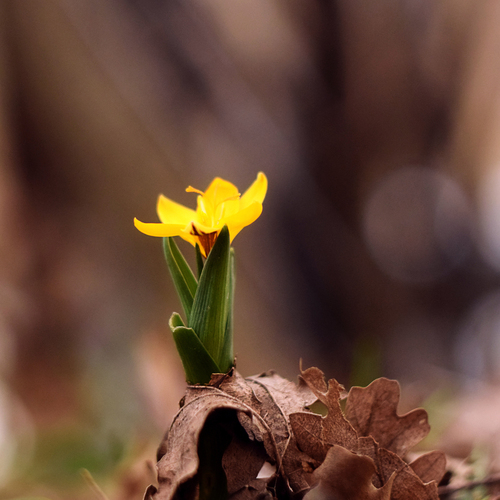 Photo #13853815