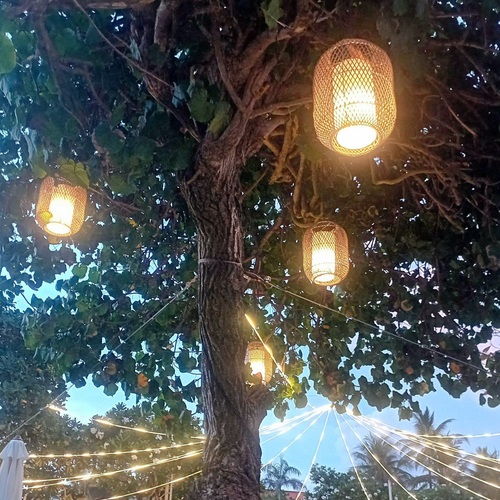 Photo #13853821