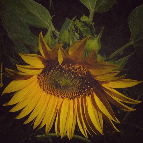Photo #13853914
