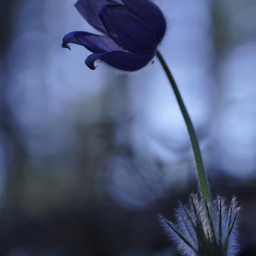 Photo #13853975