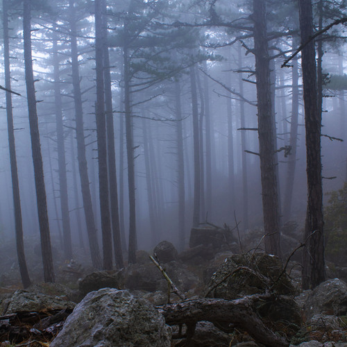 Photo #13854008
