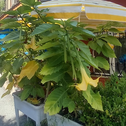 Photo #13854014